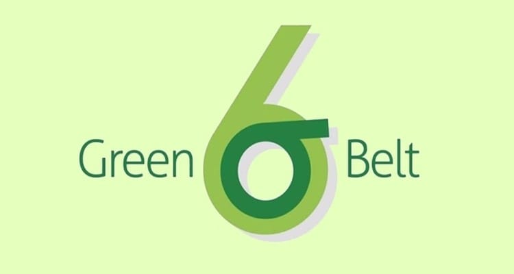 Qualities and Traits of Lean and Six Sigma Green Belt
