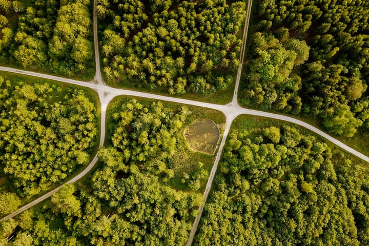Benefits of Green Coding for Sustainability Projects - Course Monster Blog