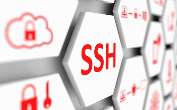 14 SSH Key Management Best Practices You Need to Know - Hashed Out by The SSL Store™